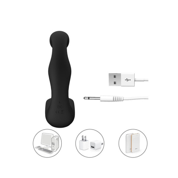Plug anal double pénétration 12 programmes USB 